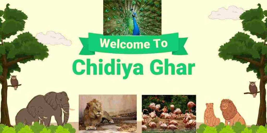 Chidiya Ghar क्या कहाँ और क्यों जरूरी इंफॉर्मेशन